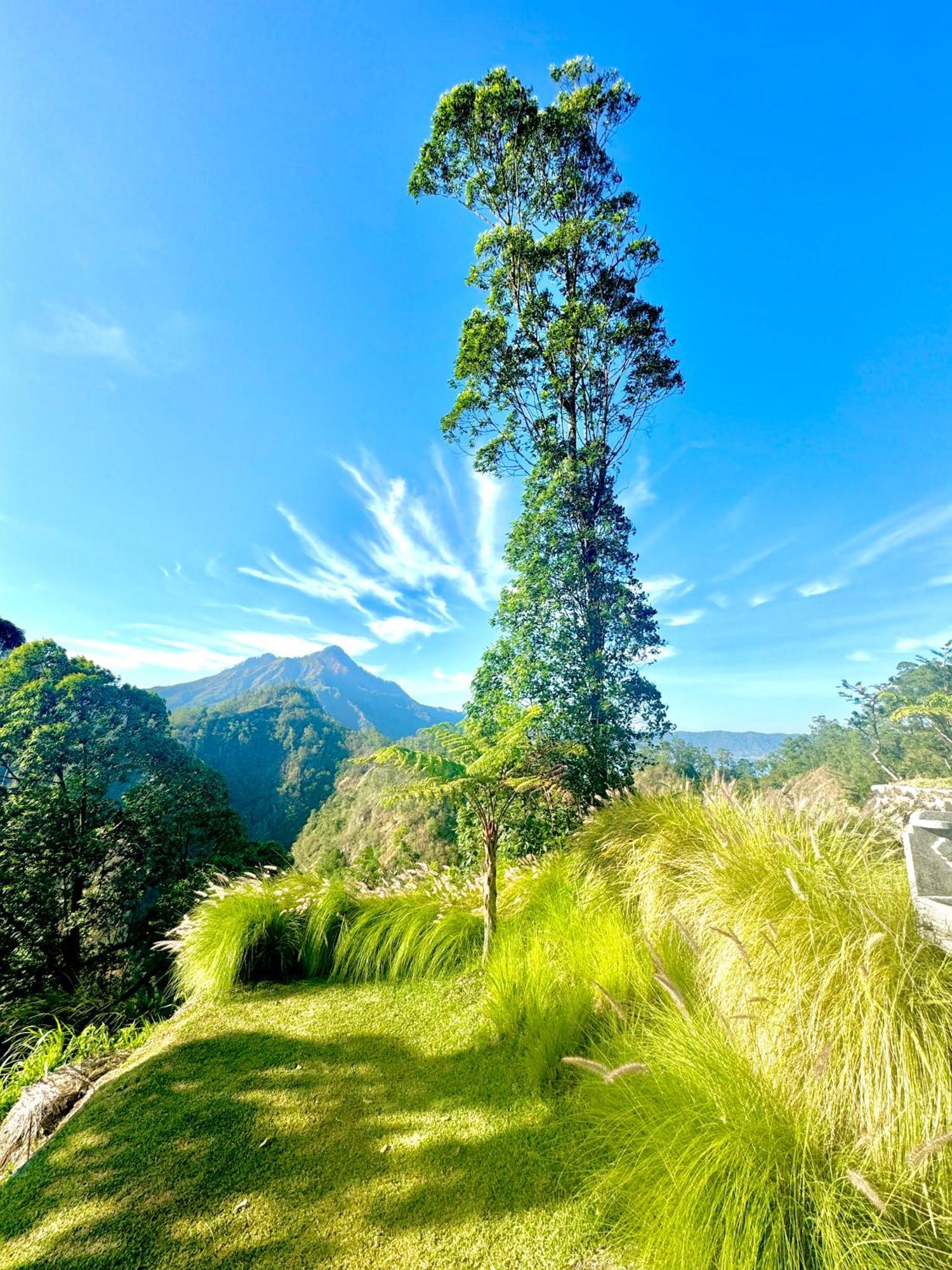 Alengkong Bali Camp Hotel Bangli Exterior photo